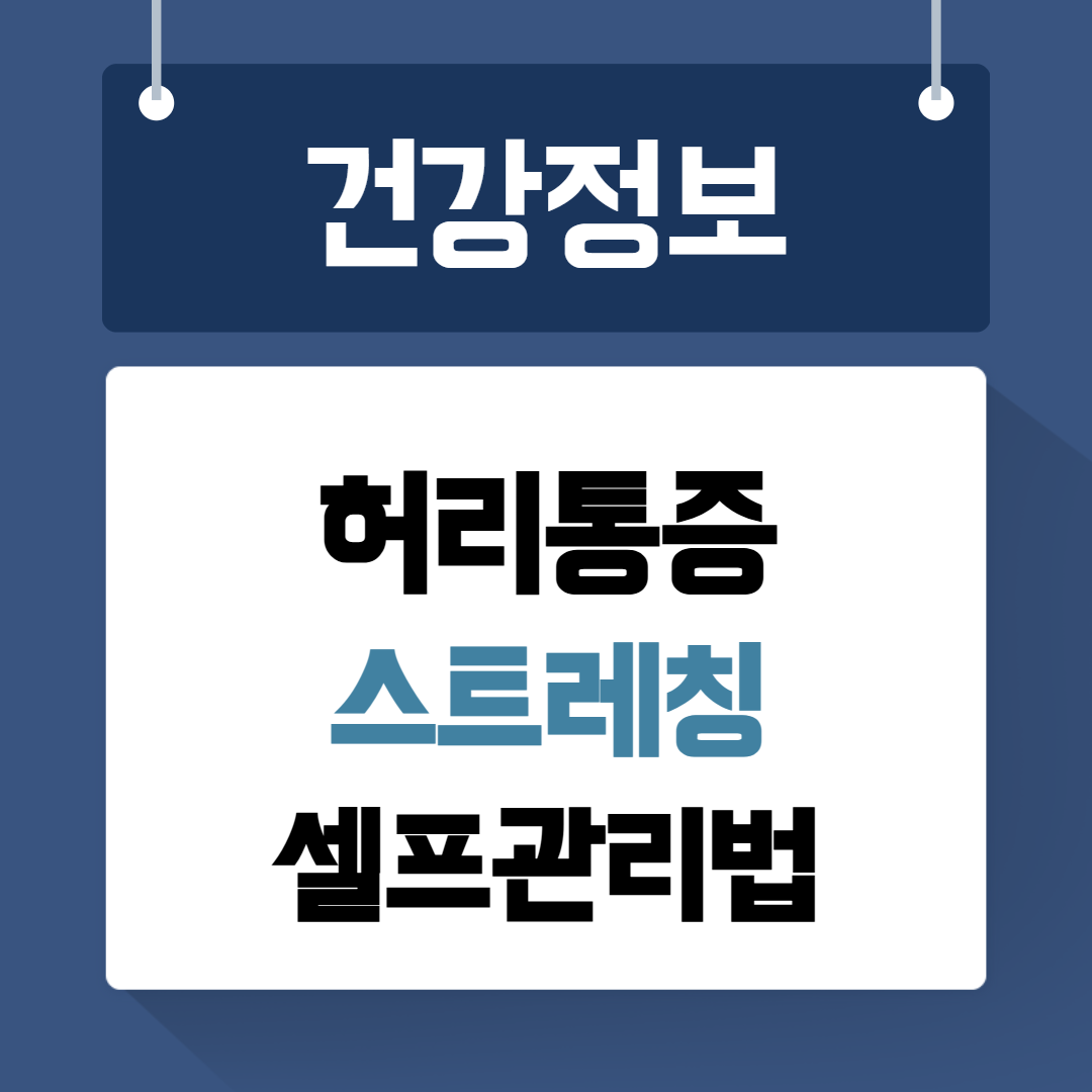 허리통증 스트레칭