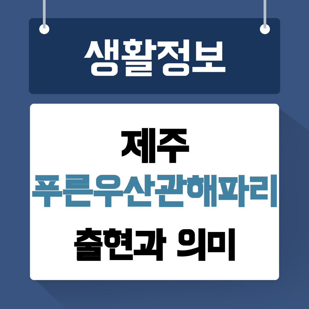 제주 푸른우산관해파리