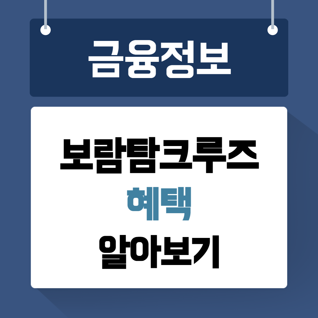 보람탐크루즈 혜택