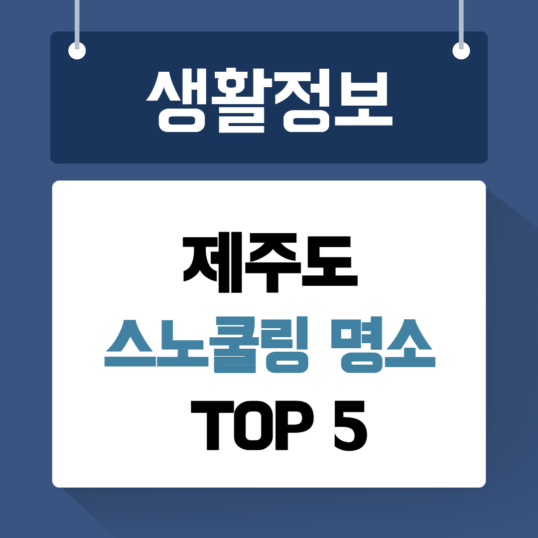 제주도 스노쿨링 명소