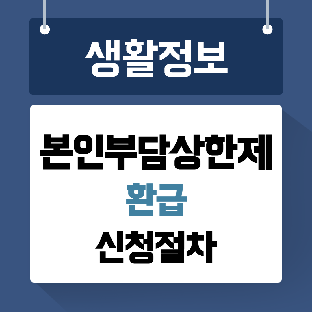 본인부담상한제환급