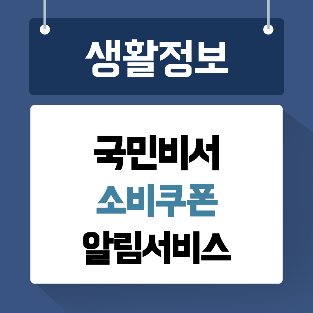 국민비서 소비쿠폰 알림서비스