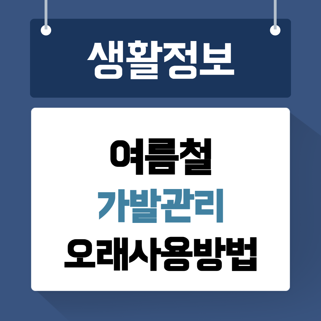 여름철 가발관리방법