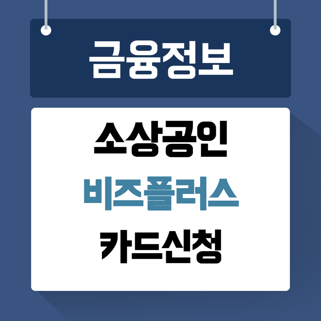 소상공인 비즈플러스 카드