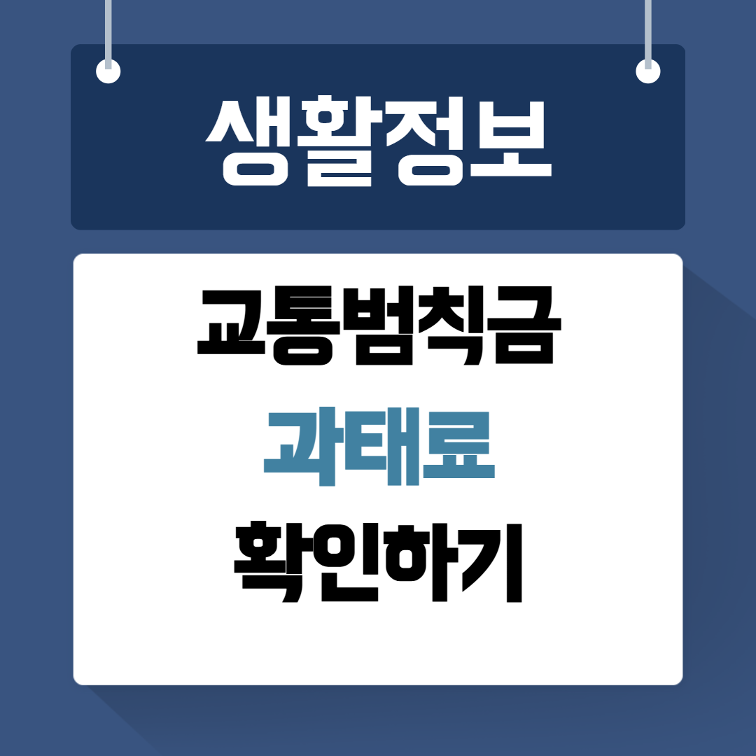 교통범칙금 확인하기