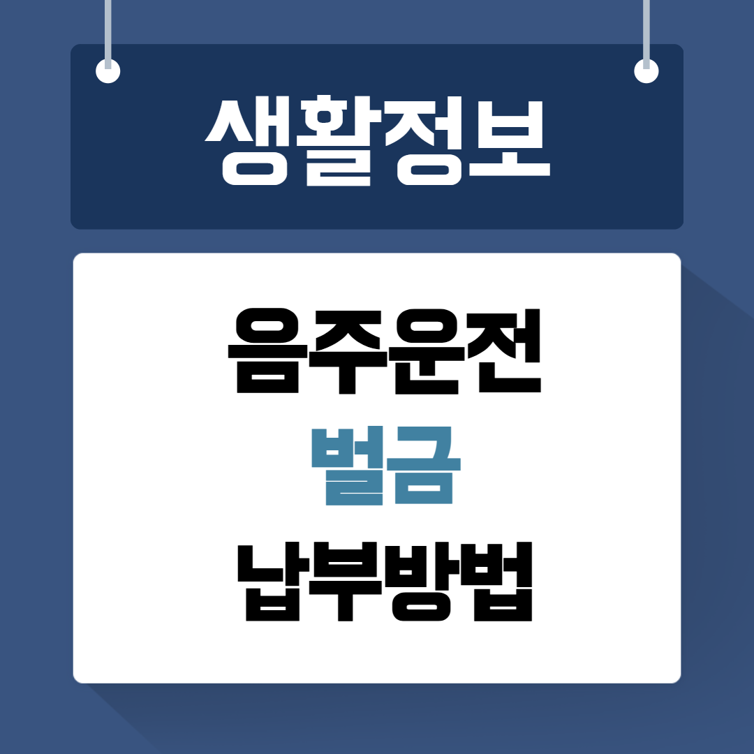 음주운전벌금 납부방법
