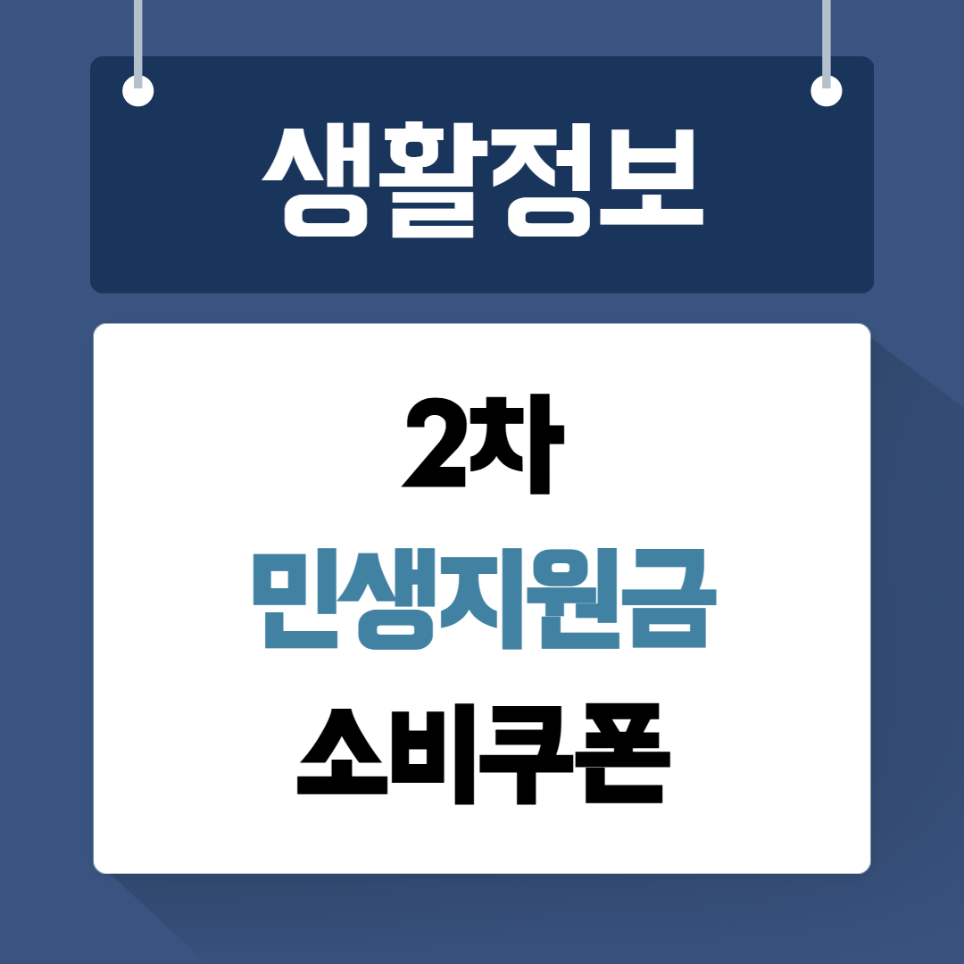 2차 민생지원금 소비쿠폰