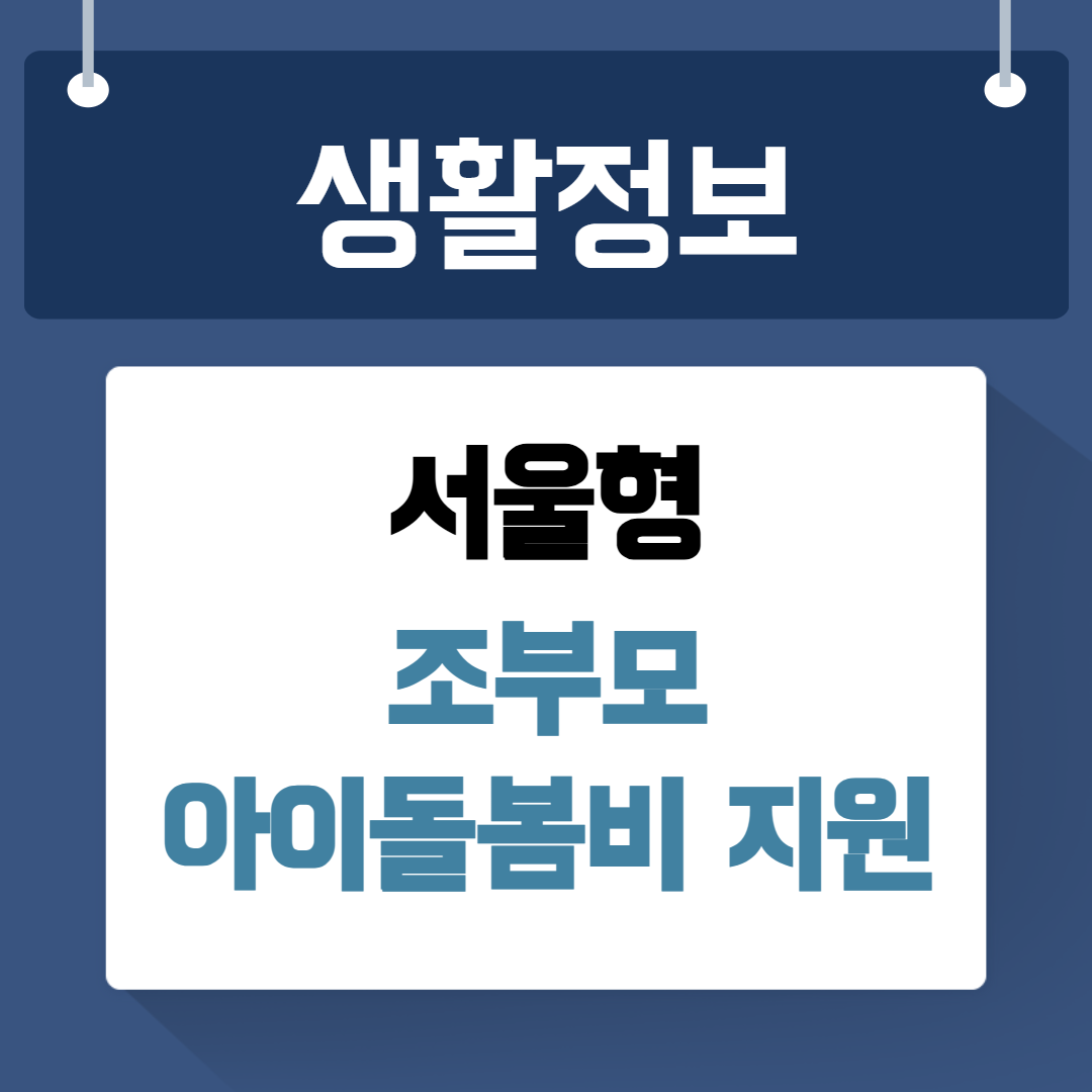 서울형 아이돌봄비