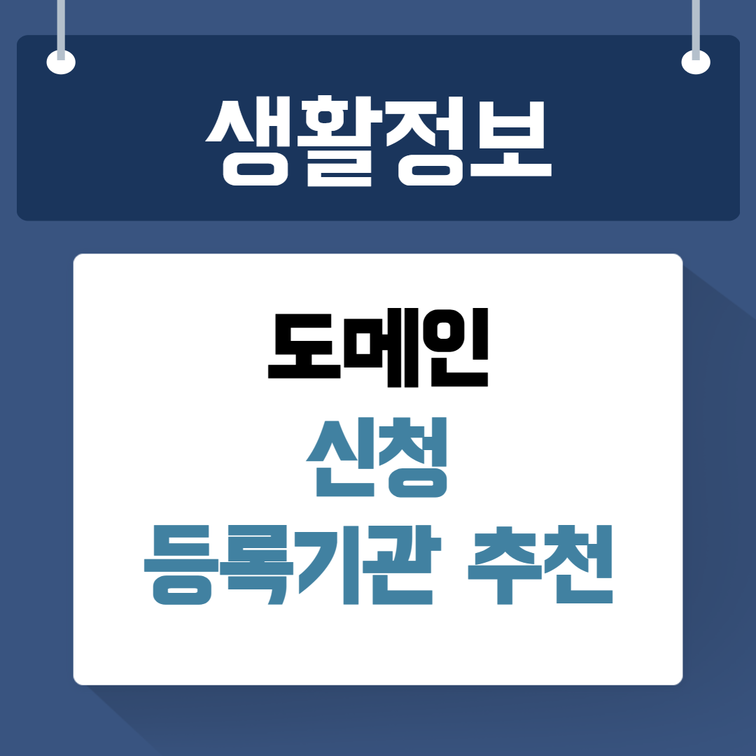 도메인 신청