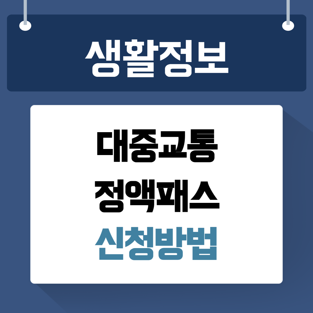 대중교통 정액패스