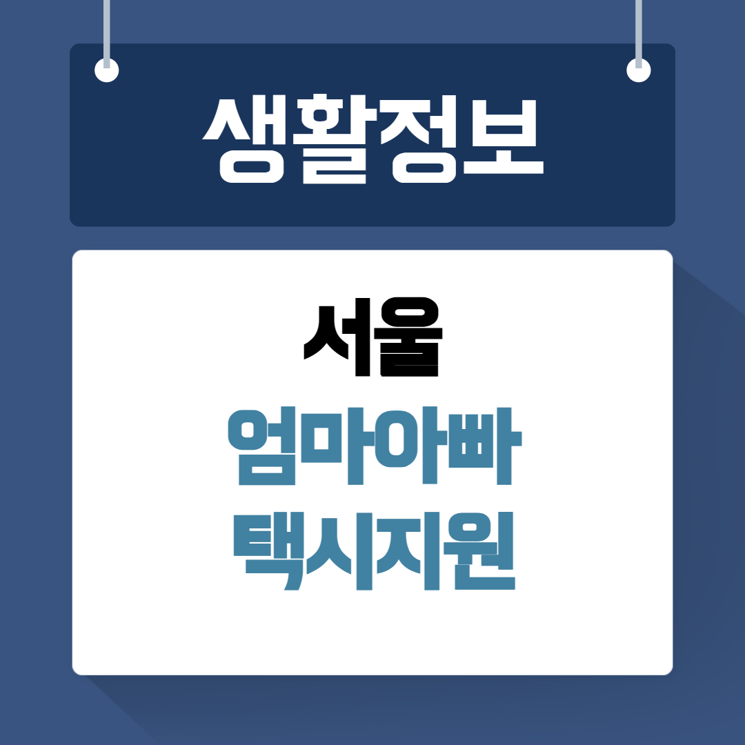 서울엄마아빠택시지원