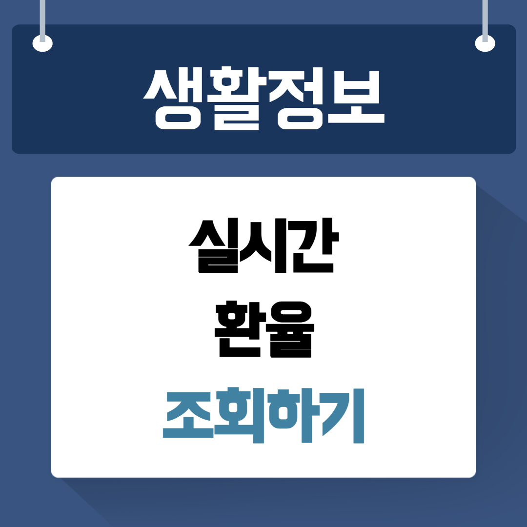 실시간 환율 조회하기