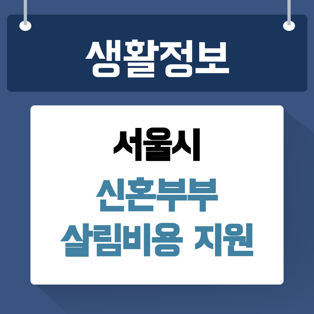 서울시 신혼부부 살림비용 지원