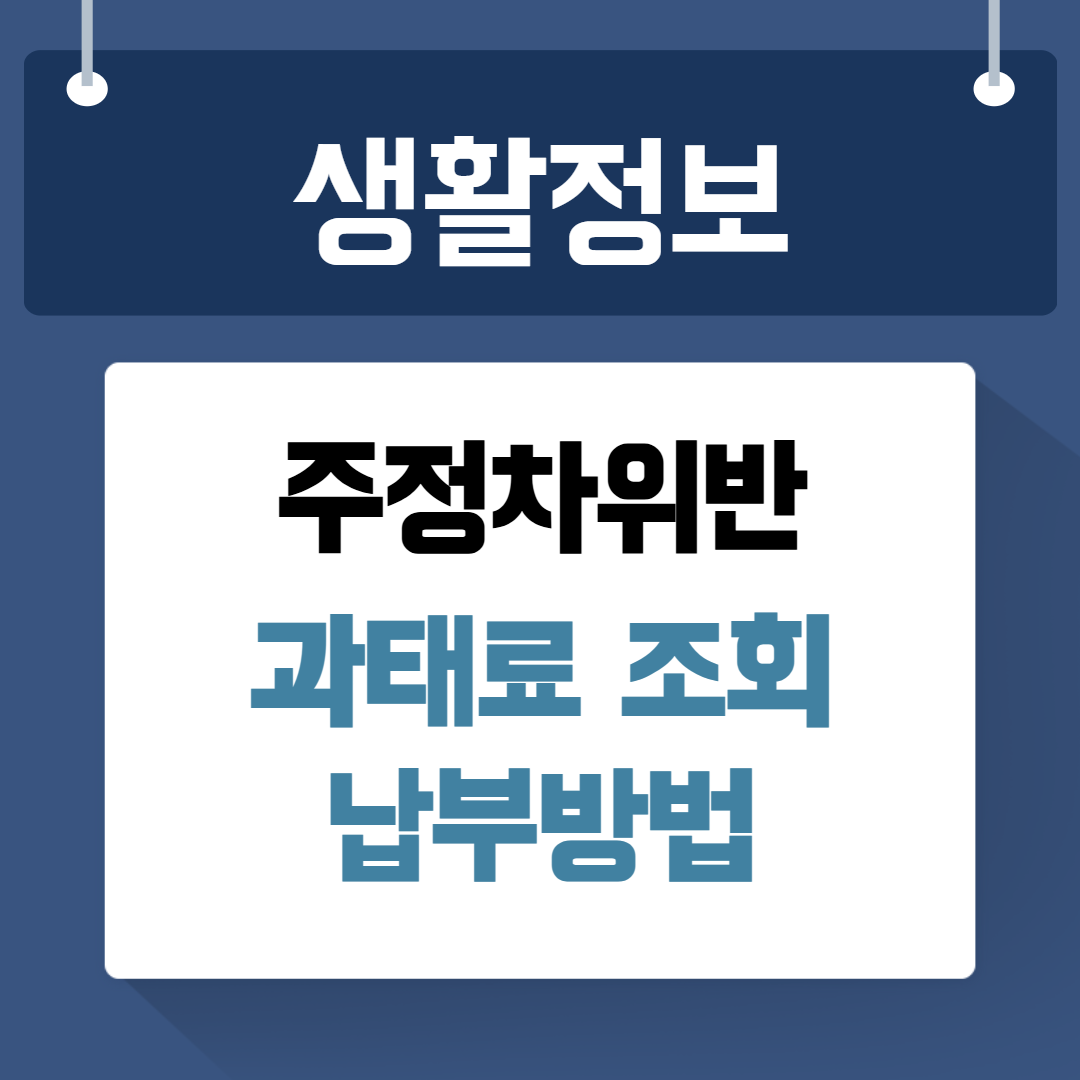 주정차위반 과태료조회