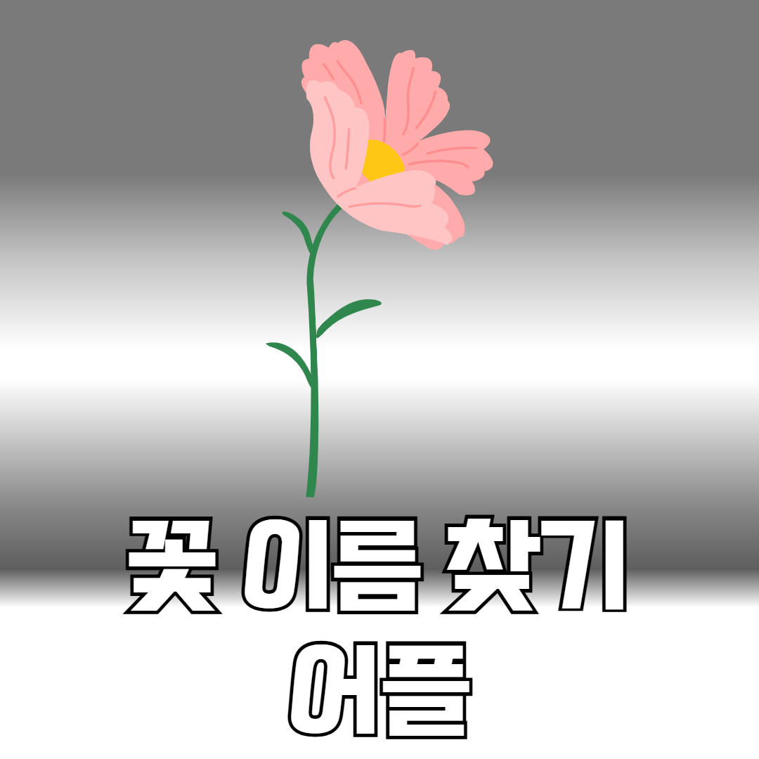 꽃 이름찾기 어플