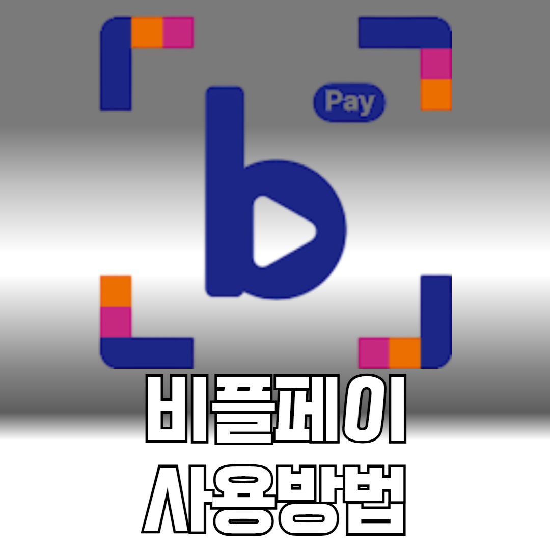 비플페이 사용방법