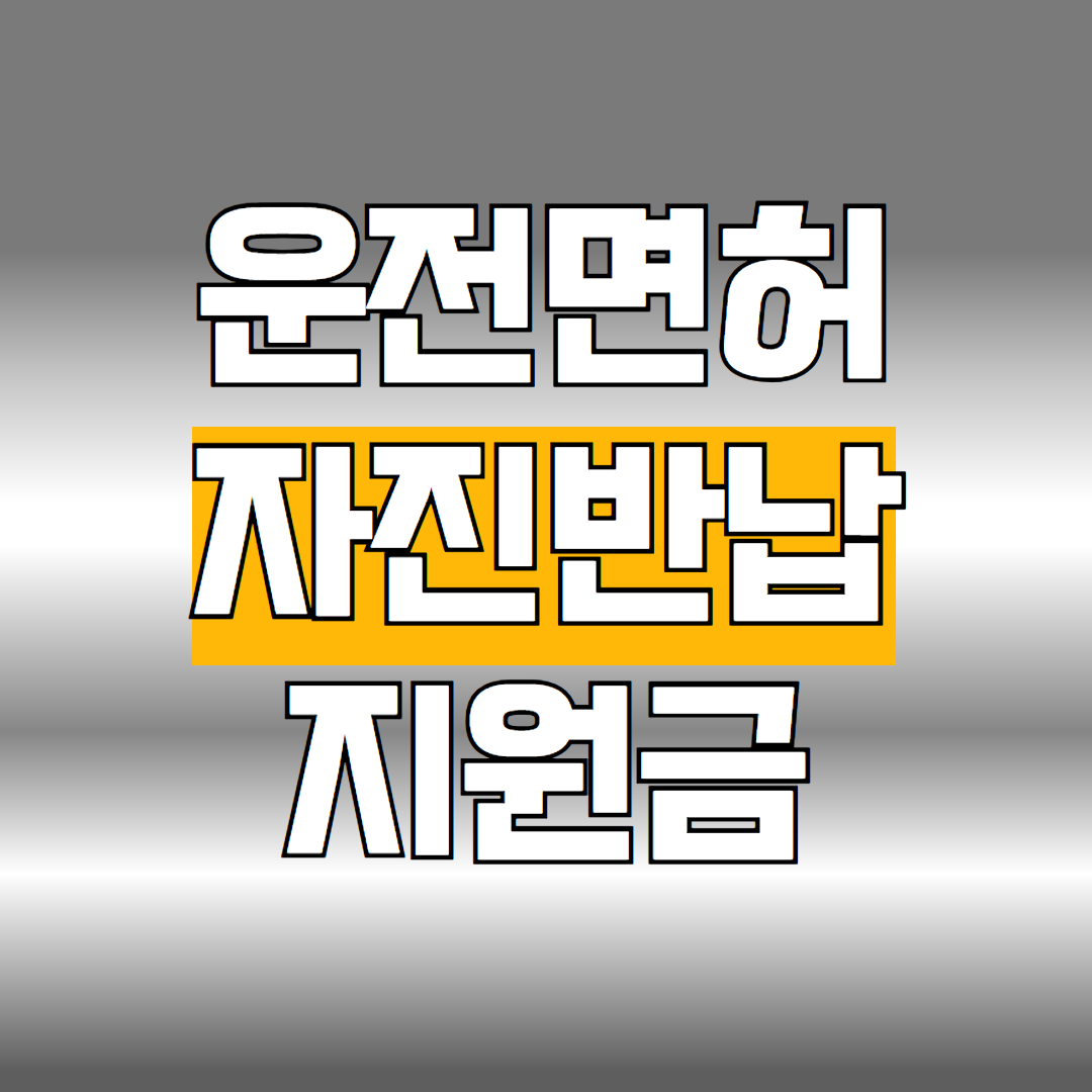 운전면허 자진반납 지원금