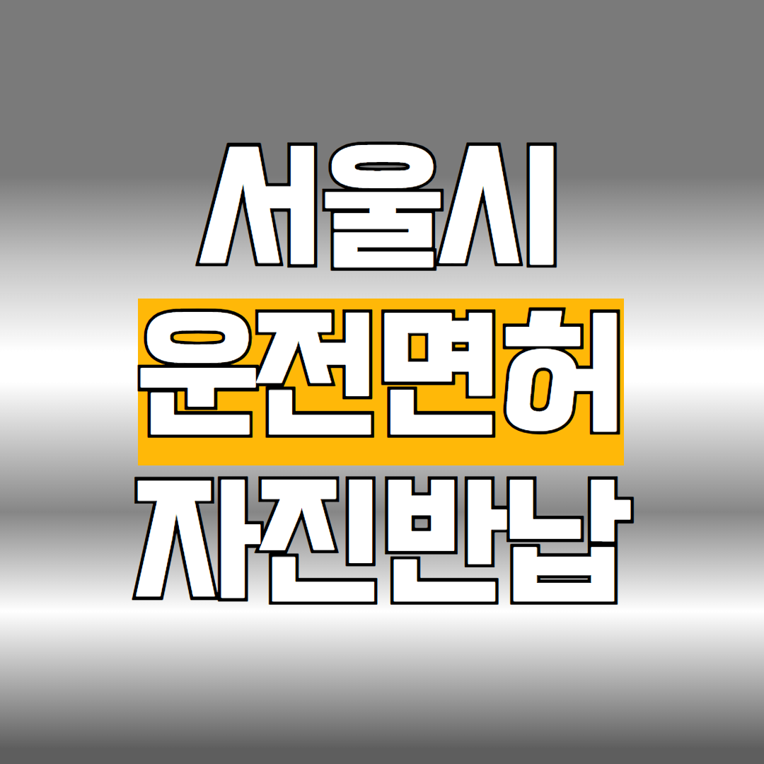 서울시 운전면허 자진반납