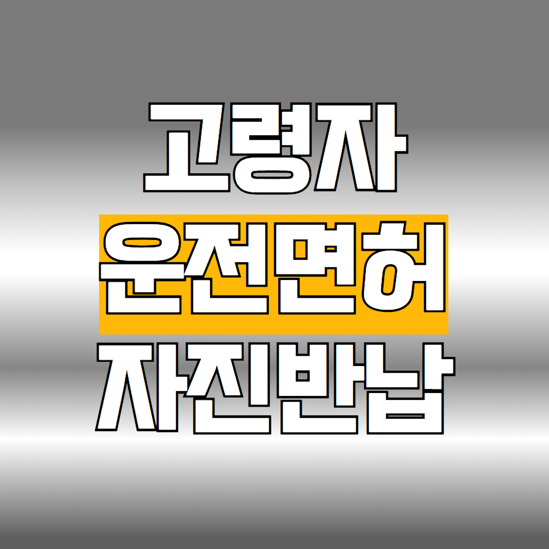 고령자 운전면허 자진반납