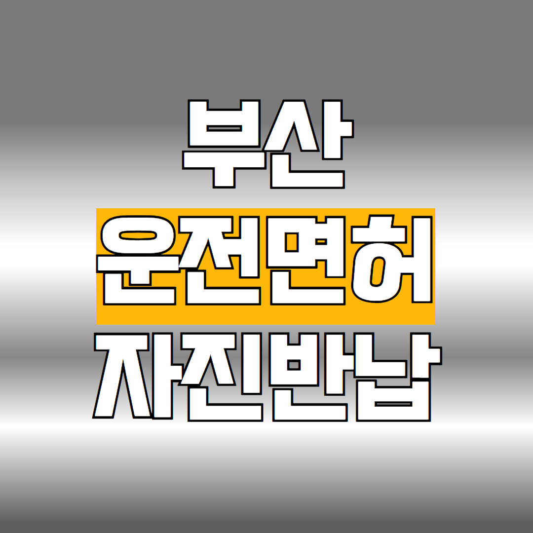 부산 운전면허 자진반납