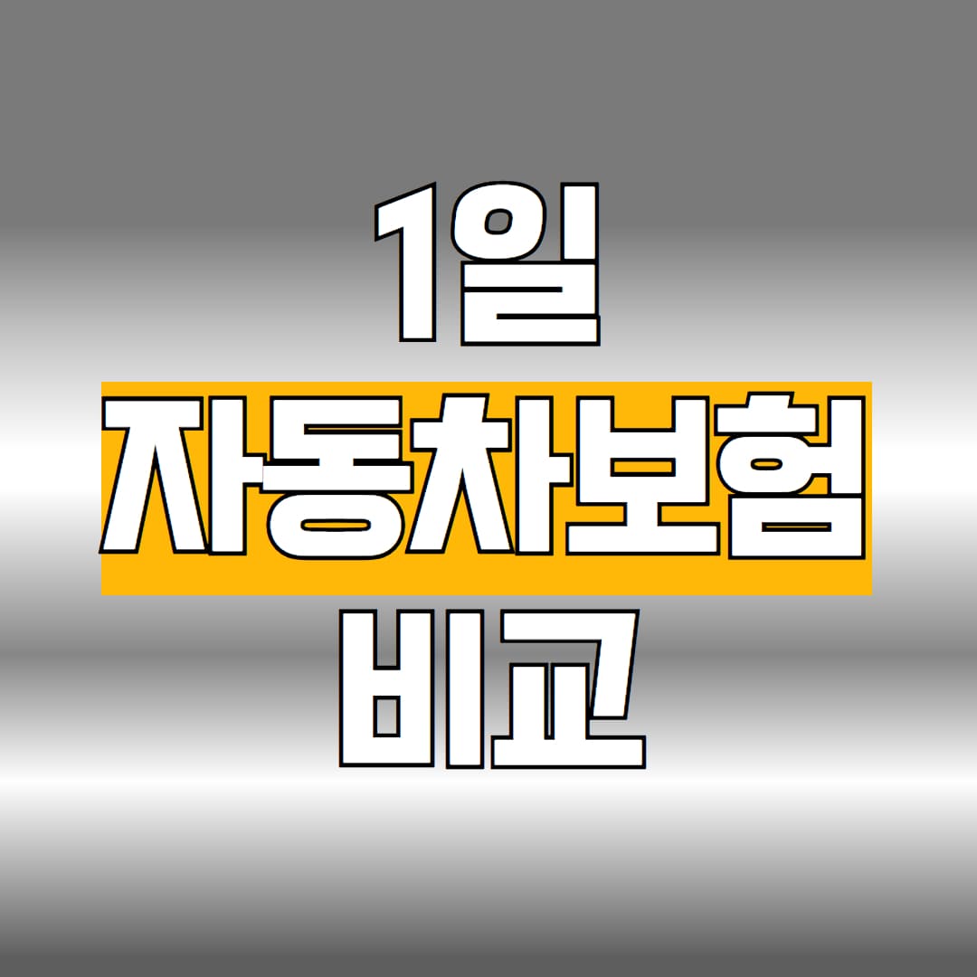 1일 자동차보험 비교