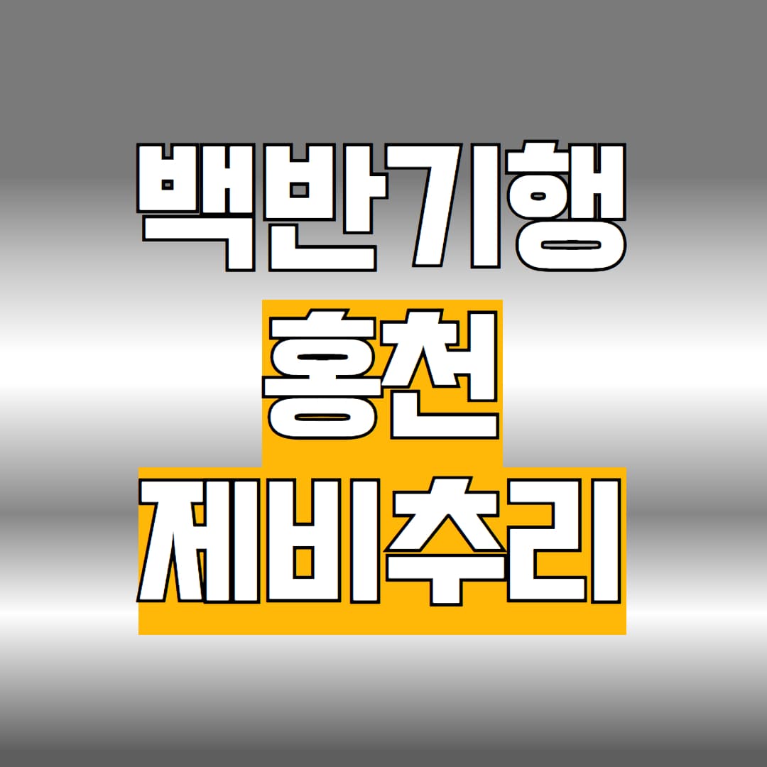 백반기행 홍천 제비추리