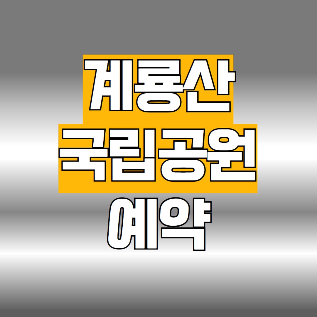 계룡산 국립공원 예약