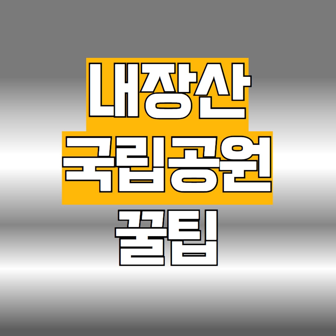 내장산 국립공원