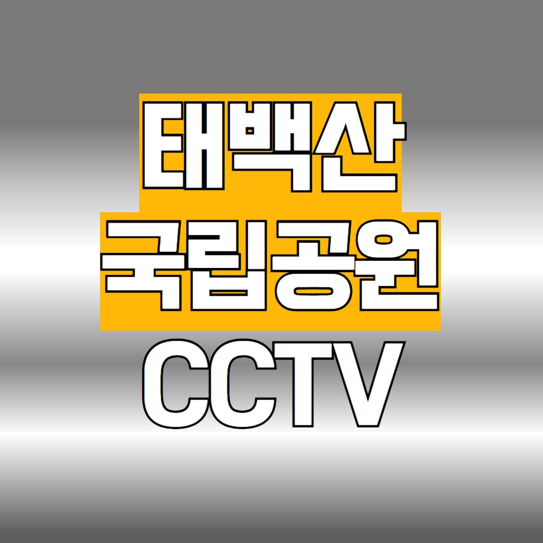 태백산 CCTV 날씨