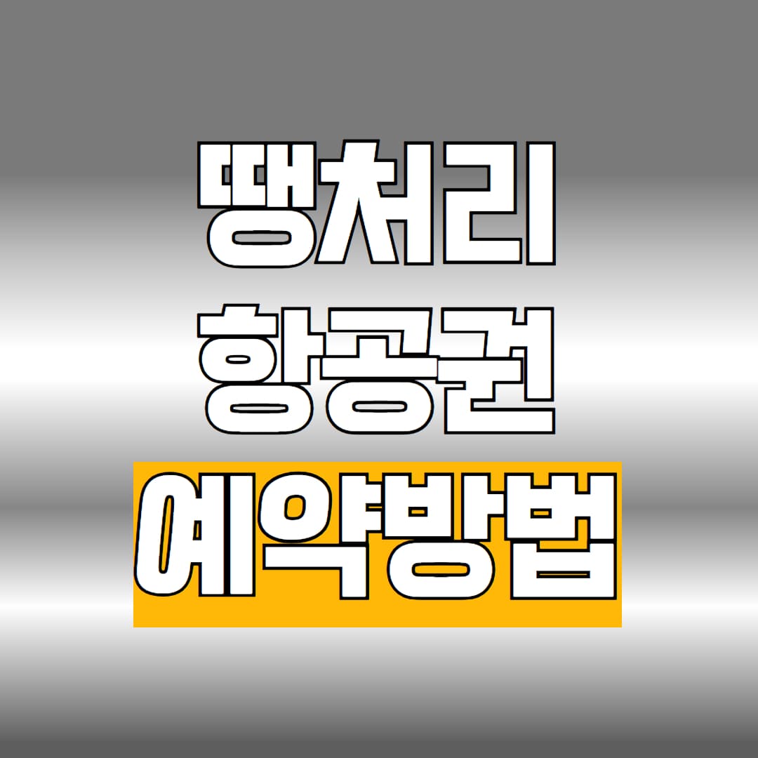 땡처리 항공권 예약