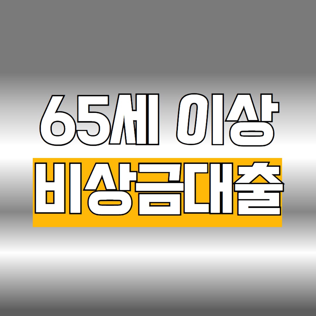 65세 이상 비상금대출