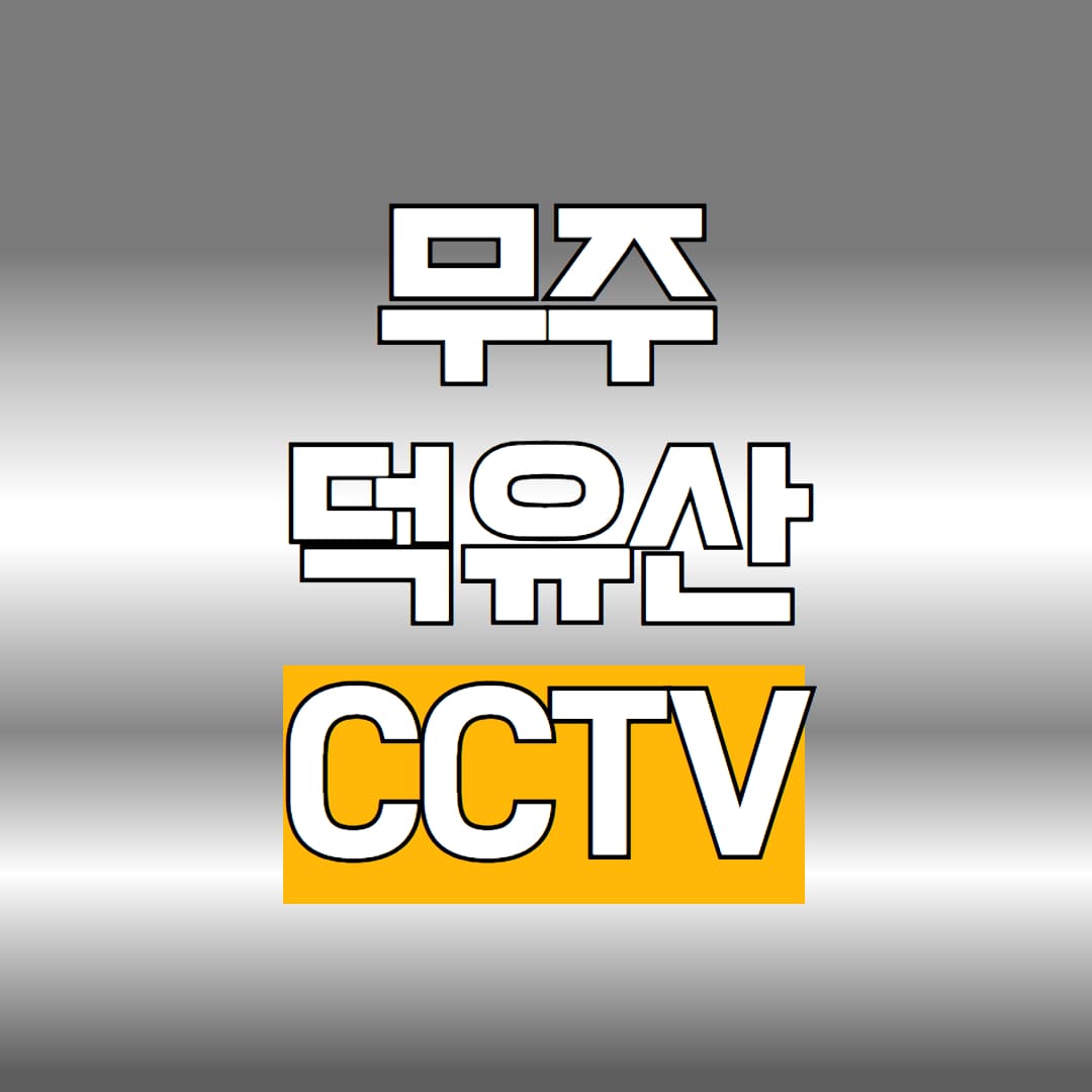 무주 덕유산 CCTV