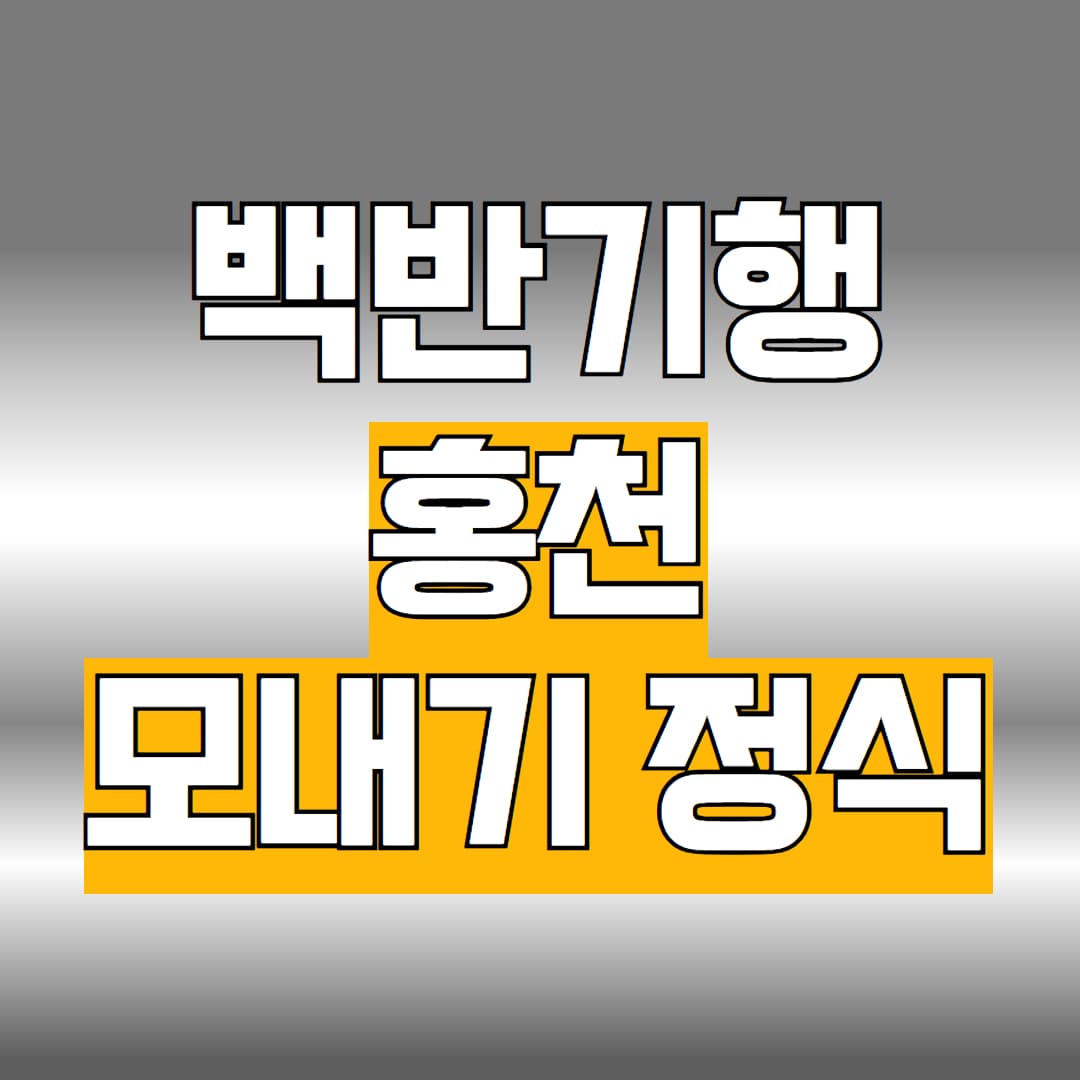 백반기행 홍천 모내기정식
