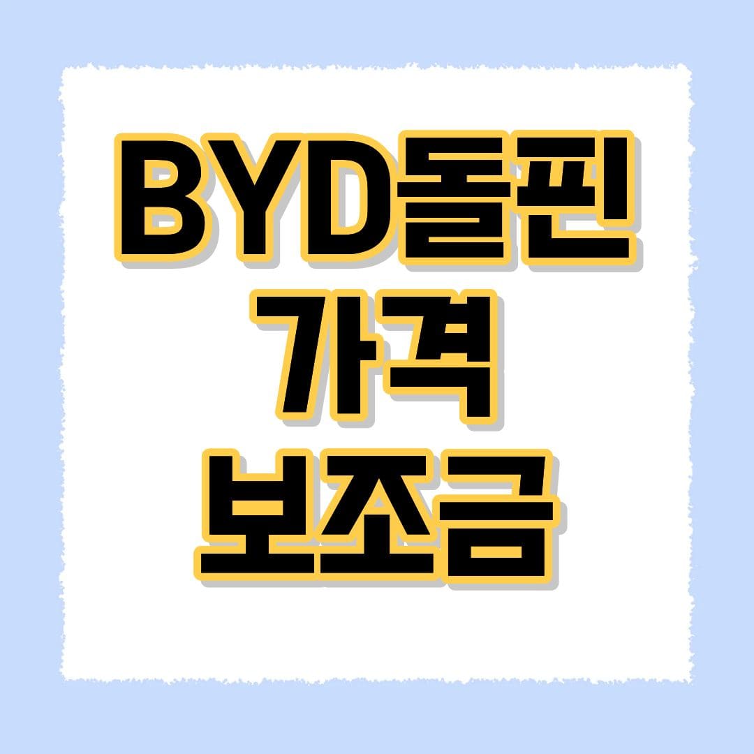 BYD돌핀 가격 보조금