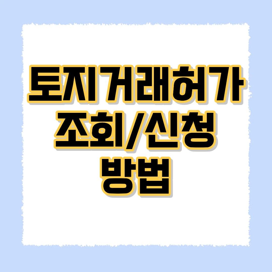 토지거래허가