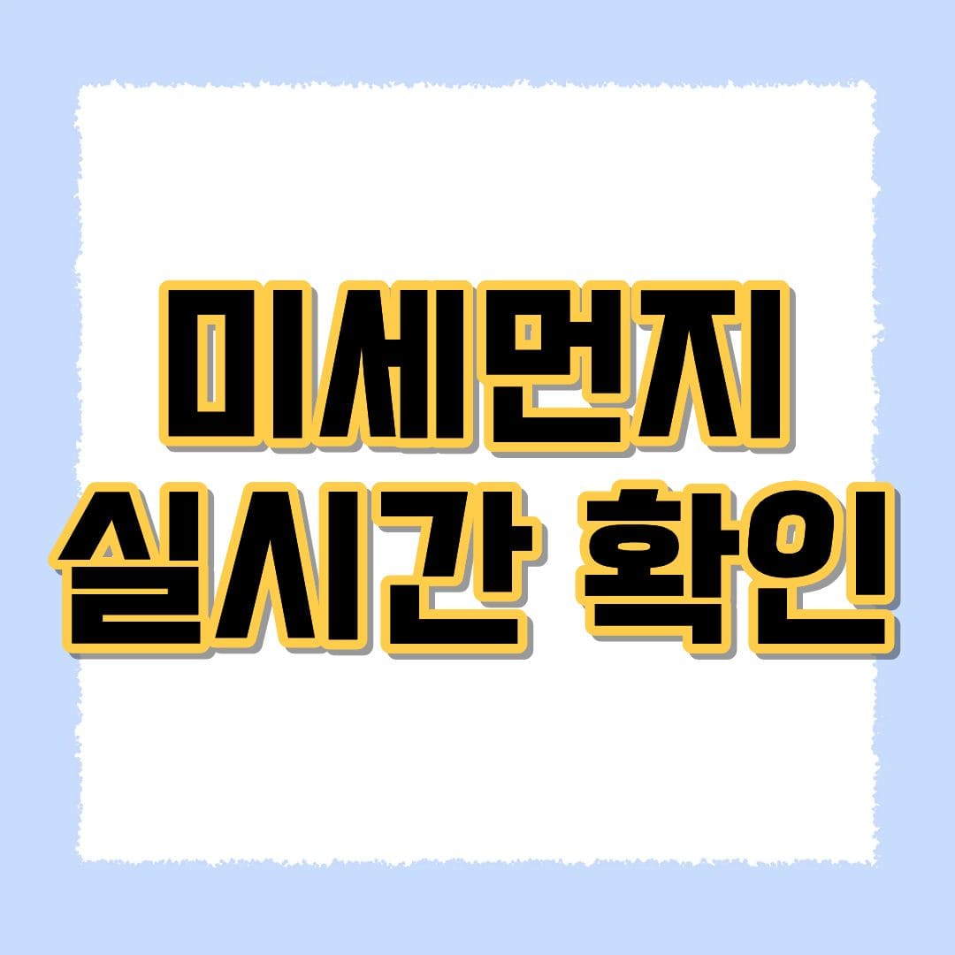 미세먼지 실시간 확인