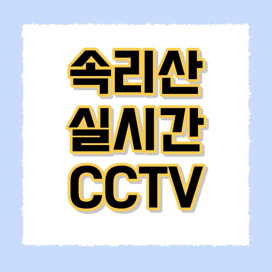 속리산 실시간 CCTV