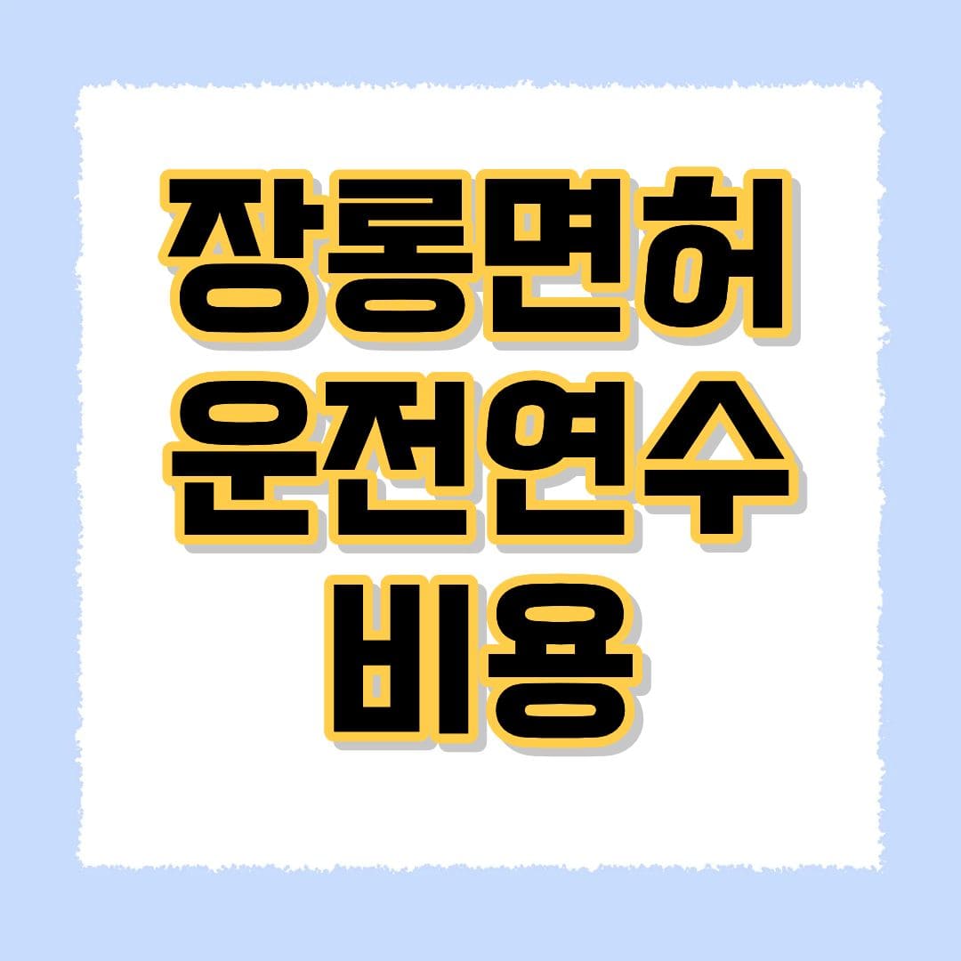 장롱면허 운전연수