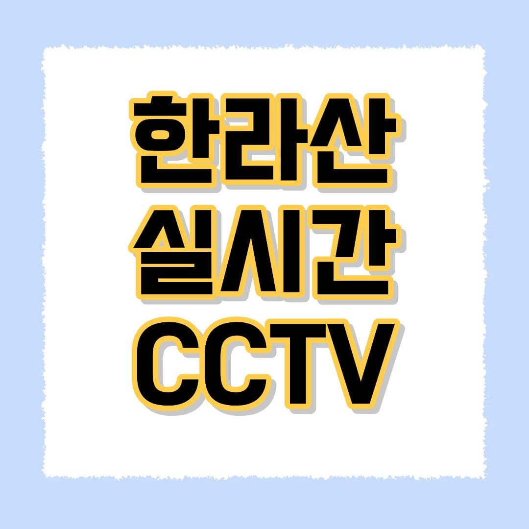 한라산cctv