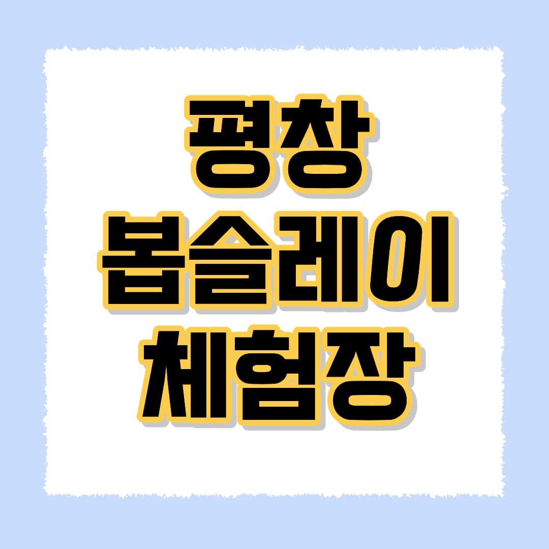 평창 봅슬레이 체험장
