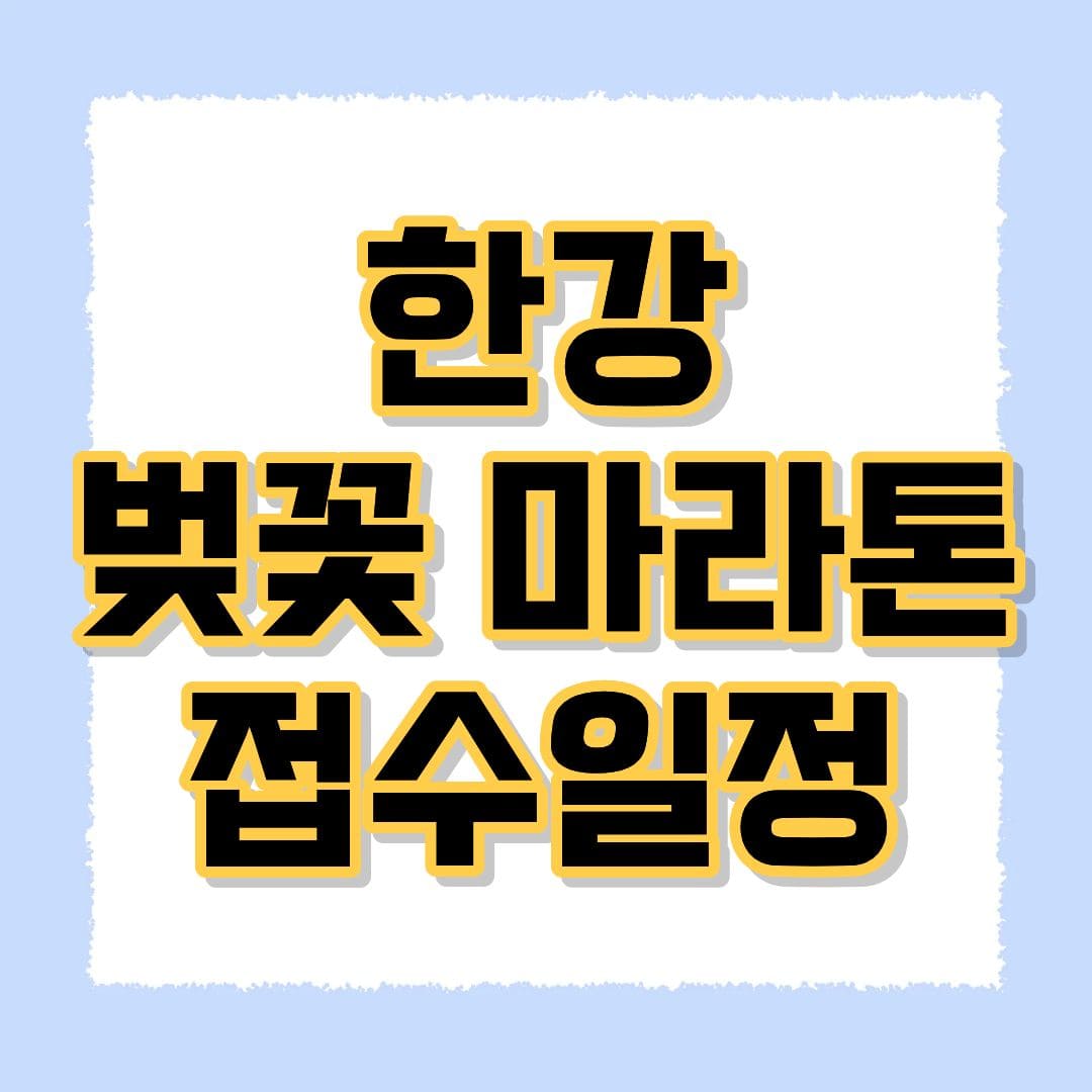 한강 벚꽃 마라톤