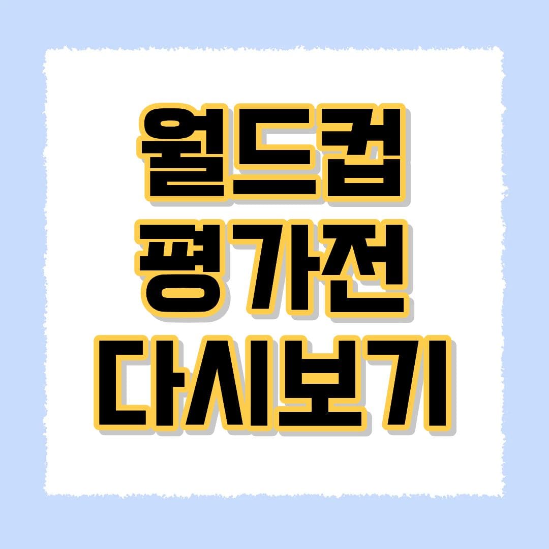 월드컵 평가전