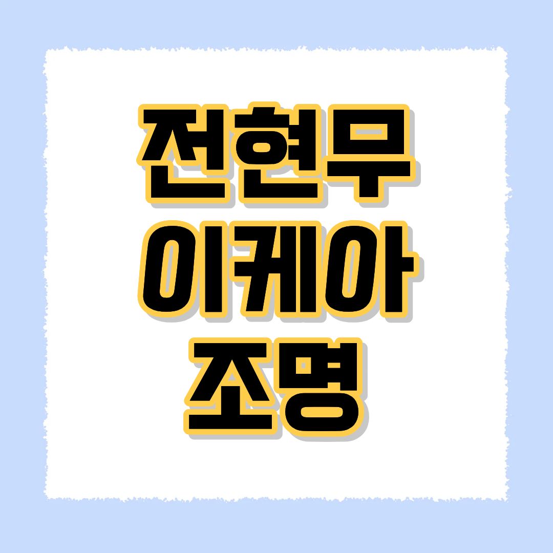 전현무 이케아 조명