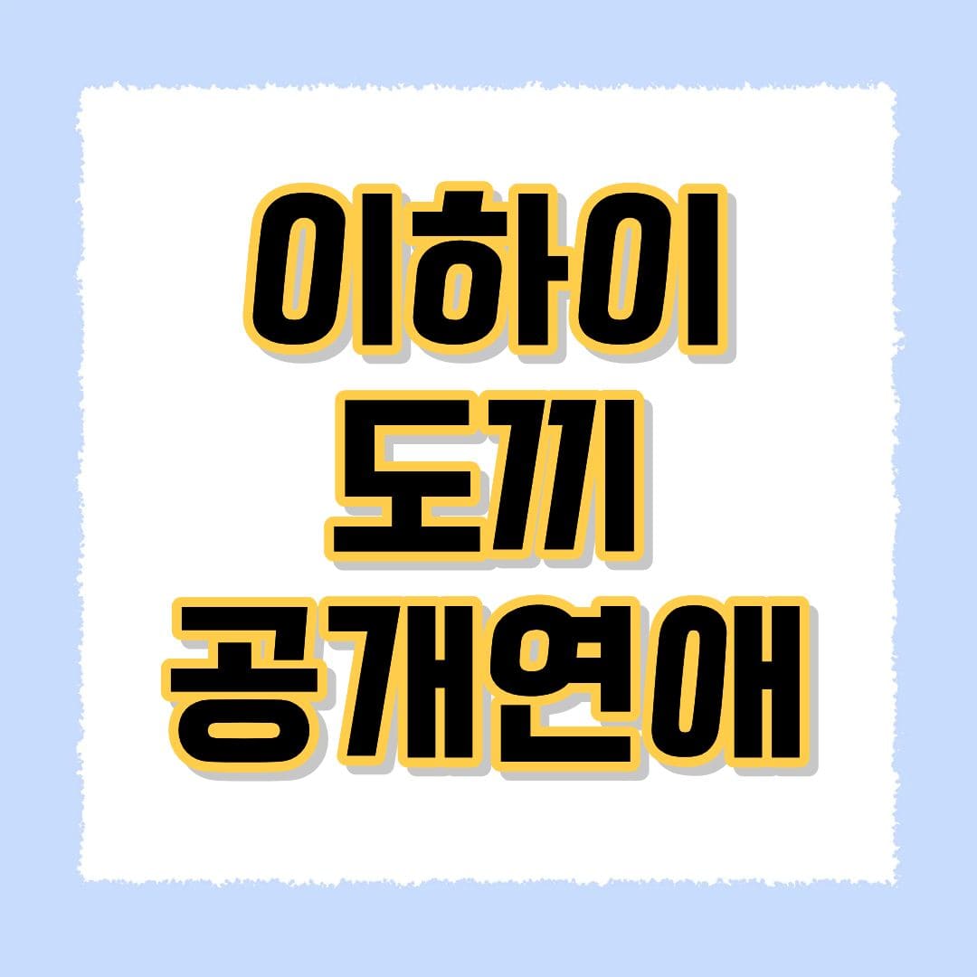 이하이 도끼 공개연애