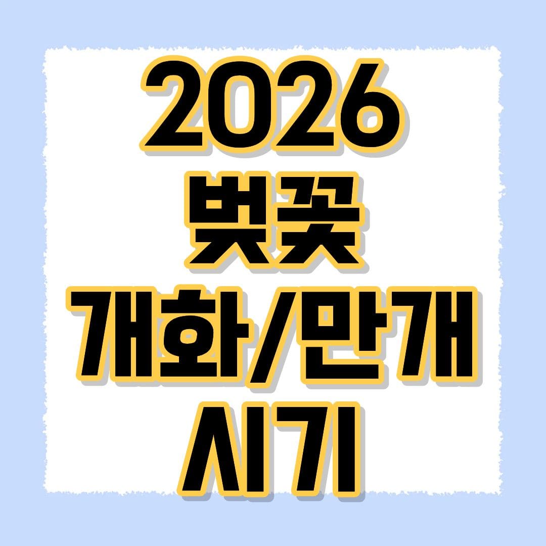 2026 벚꽃 개화 만개