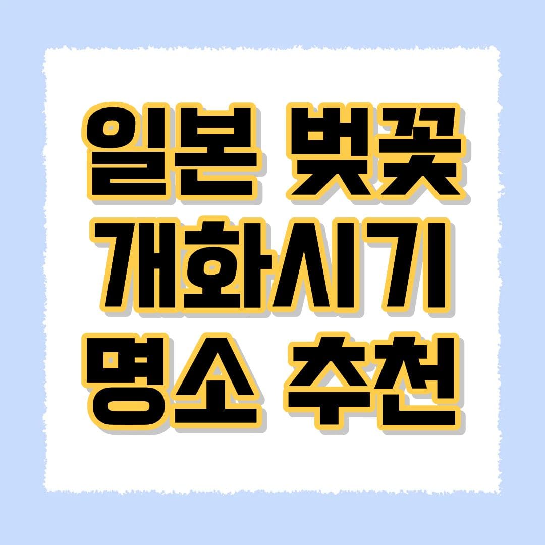 일본 벚꽃 개화시기