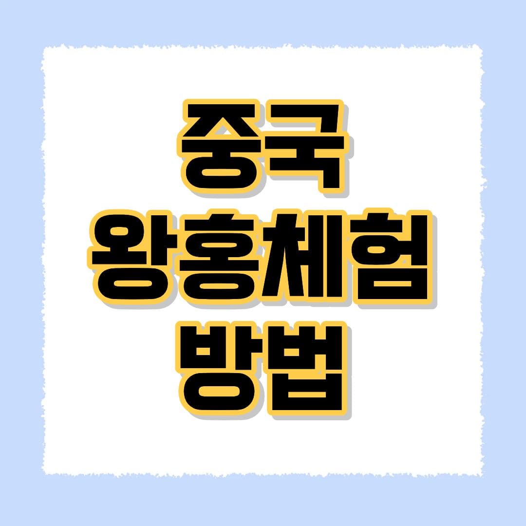 중국 왕홍체험