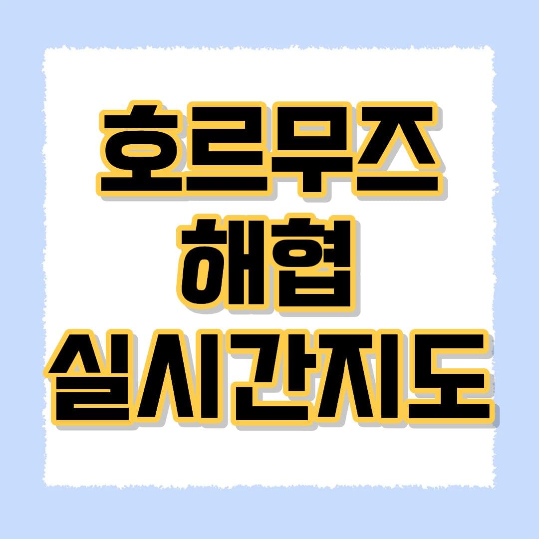 호르무즈 해협 실시간지도