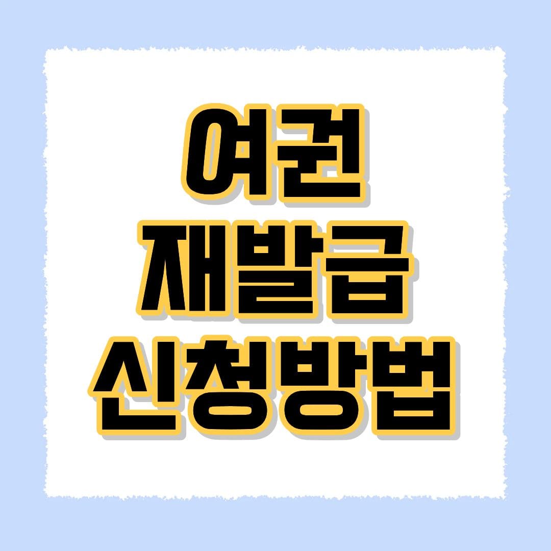 여권 재발급 신청