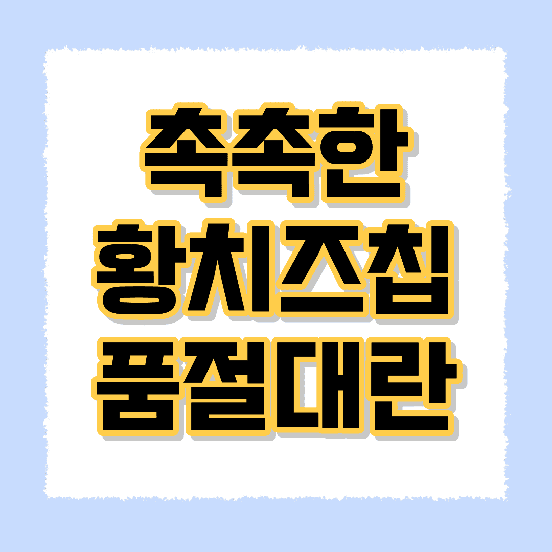 촉촉한 황치즈칩 품절대란